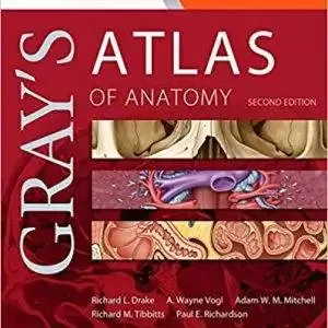 grays atlas of anatomy 2e