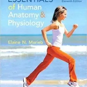 Essentials of Human Anatomy & Physiology (11th Edition)- eBook