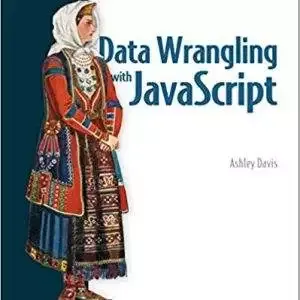 Data Wrangling with JavaScript - eBook