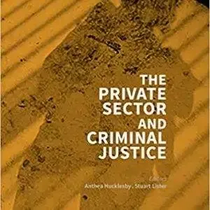 The Private Sector and Criminal Justice - eBook