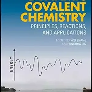 Dynamic Covalent Chemistry: Principles, Reactions, and Applications - eBook