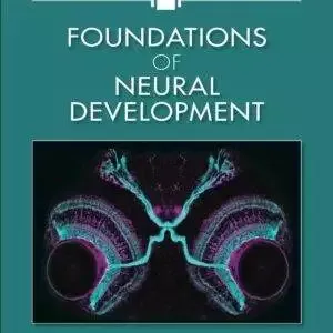 Foundations of Neural Development - eBook