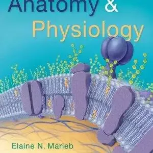 Anatomy and Physiology (6th Edition) - PDF